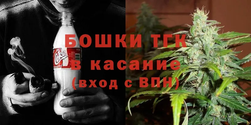 Каннабис SATIVA & INDICA  Зубцов 